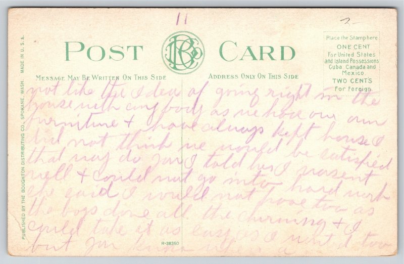 Spokane Washington~Lower Falls~Power Plant In Background~Vintage Postcard