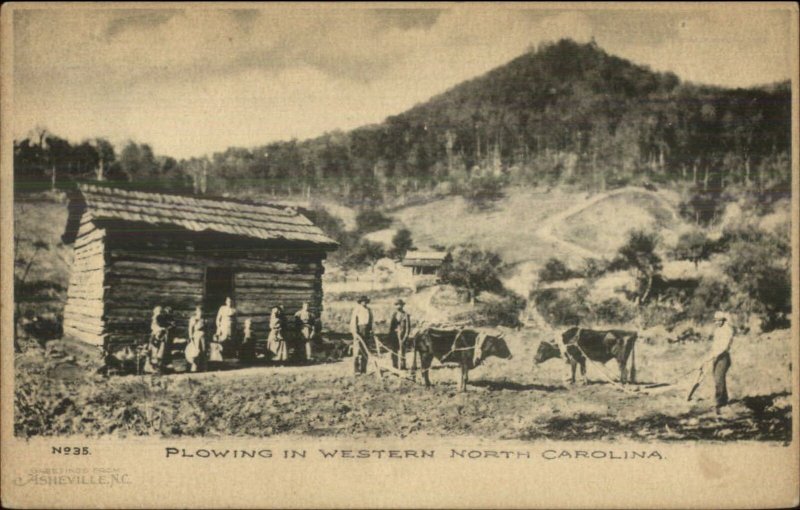 Publ in Asheville NC Mountains Family Oxen Plow Cabin c1905 Albertype PC