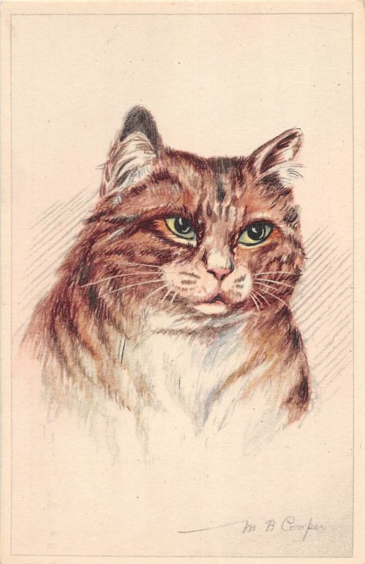 G54/ Cat Pet Animal Postcard M.B. Cooper Signed Pretty Cat Sketch 13