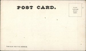 Norwich CT Birdseye View Old Home Week 1902 Postcard