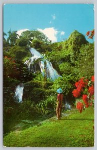 Postcard Ocho Rios Jamaica Shaw Park Gardens Woman Waterfall 1950s Chrome View