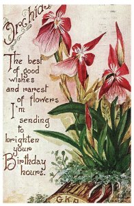 Vintage 1913 Birthday Greetings Postcard w/ Orchids