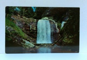 Pisgah National Forest North Carolina NC Looking Glass Falls Postcard 