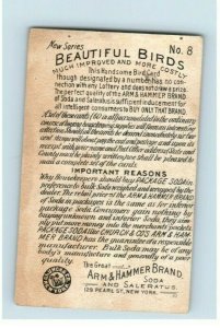 1880s-90s Arm & Hammer Beautiful Birds Series Waxbill Lot Of 5 P222