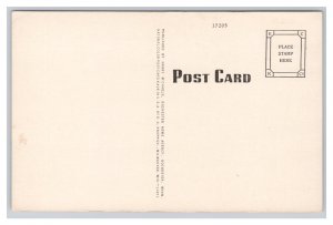 Rochester Minn. MInnesota Post Office Postcard