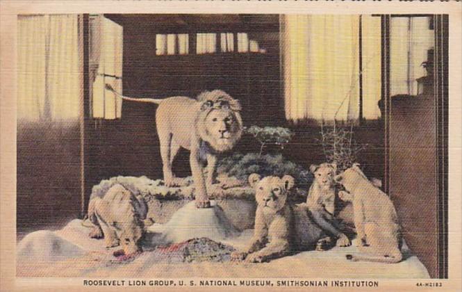 Washington D C Roosevelt Lion Group U S National Museum Smithsonian Instituti...