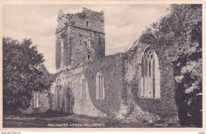 KILLARNEY, Kerry, Ireland, 1900-1910s; Muckross Abbey