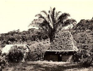 1940s PANAMA DARIEN INDIAN HOME FOTO FLATAU PHOTO RPPC POSTCARD P173