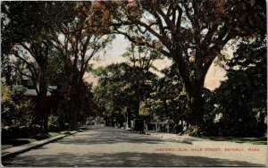 Vtg Beverly Massachusetts MA View of Historic Elm Hale Street 1910s Postcard