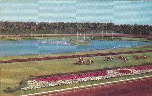 Horse Racing Parading To The Post Hialeah Race Course Miami Florida