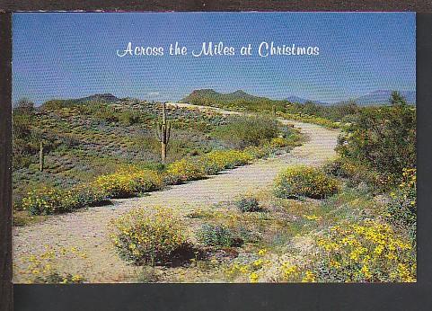 Christmas in AZ Postcard BIN 