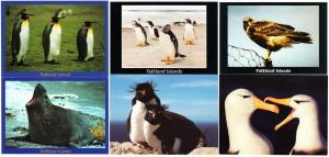 Falkland Islands Lot of 13 Postcards 1980s-1990s