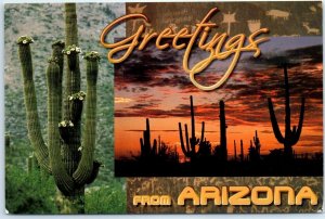 Postcard - Giant Saguaro - Greetings From Arizona