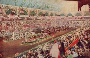 Horse Show 1929 Olymypia London Old Advertising Postcard
