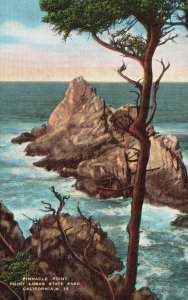 Vintage Postcard Pinnacle Point Jagged Rocks Cypress Lobos State Park California