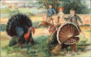 Thanksgiving Little Boys Chasing Turkeys c1910 Vintage Postcard