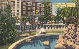 Texas El Paso Alligator Pool San Jacinto PLaza 1939