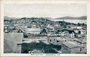 Campbellton NB New Brunswick Birdseye Unused Novelty Co. Postcard F73