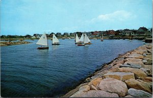 Vtg Cape Cod MA New Silver Beach Wild Harbor Moorings Sailboats 1960s Postcard