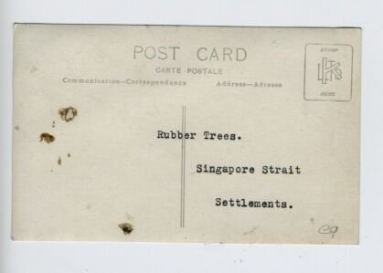 Singapore Strait Settlements China Rubber Trees RPPC Real Photo Postcard