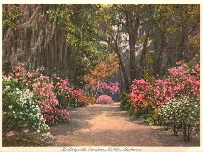 Mobile AL-Alabama, Bellingrath Gardens Colorful Landscape Vintage Postcard