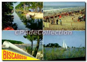 Postcard Modern Biscarrosse Beach Blonde Blue Sky and Pines Verdant