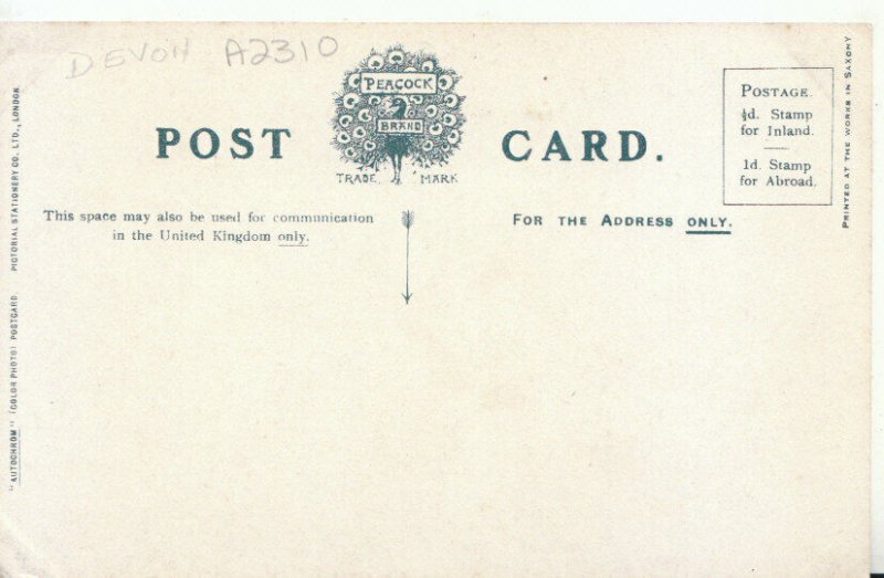 Devon Postcard - Bideford - St Mary's Church - TZ11516