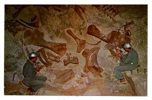 UT - Dinosaur National Monument. Fossil Bones