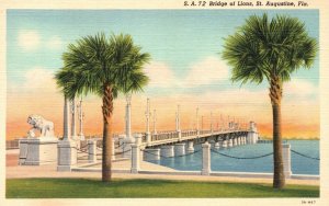 Vintage Postcard Bridge Of Lions Palm Trees St. Augustine Florida Duval News Pub