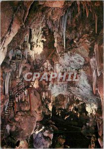 Postcard Modern Cave Aven Marzal Ardeche France The Descebte (50 m)