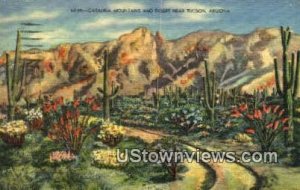 Catalina Mountains - Tucson, Arizona AZ