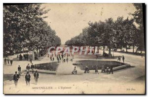 Old Postcard Montpellier Esplanade