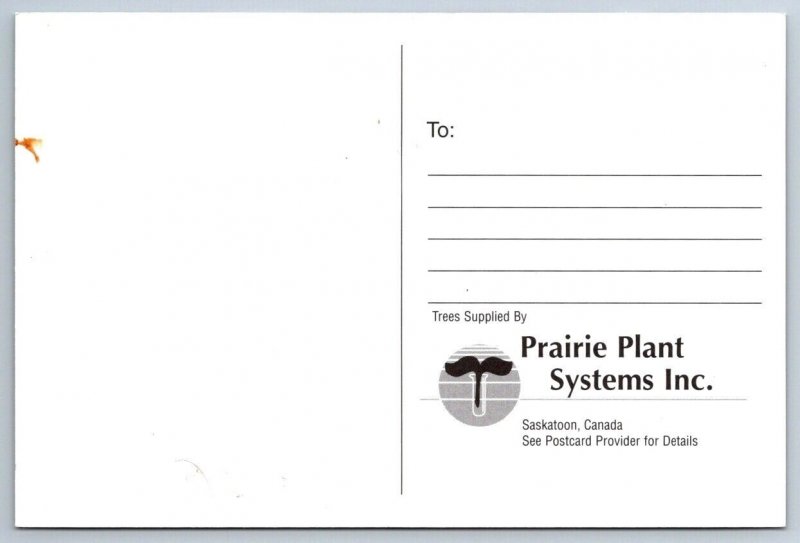 Saskatoon Berries, Prairie Plant Systems Inc Saskatchewan Advertising Postcard