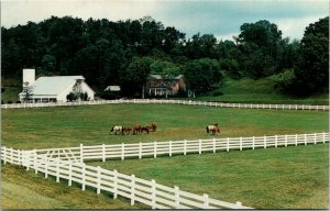 Postcard OH Gallia County Rio Grande Bob Evans Farm Homestead Craftbarn 1960s S6