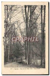 Postcard Old Lyon Parc de la Tete Or Sous Bois