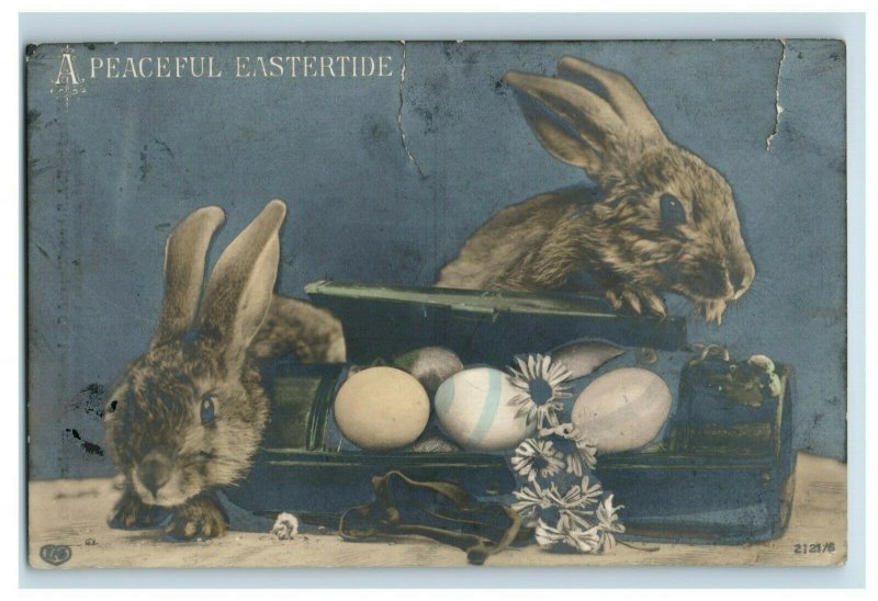 Circa 1910 RPPC Adorable Rabbits & Eggs E.A. Schwerdtieger Germany Postcard P1 