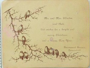 1880's-90's Christmas & New Year's Card Birds in Tree Fabulous! P89