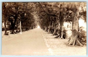 RPPC PALM BEACH, Florida FL ~ Pine Walk THE BREAKERS HOTEL c1940s Postcard