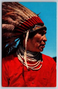 Hopi Indian In Native Head Dress Ritual Attire High Mesa Arizona Postcard L12