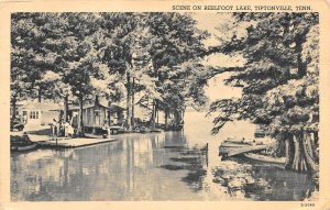 Tiptonville Tennessee Scene On Reelfoot Lake, B/W Photo Print Vintage PC U11963