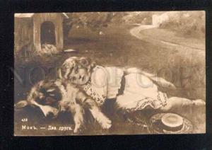 3043680 Lovely Girl on SAINT BERNARD Dog vintage RPPC