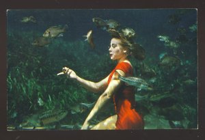 Weeki Wachee, Florida/FL Postcard, Pretty Model Betty Frazee With School Of Fish