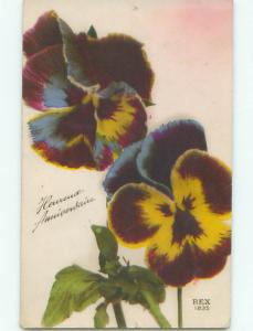 tinted rppc c1910 BEAUTIFUL FLOWERS AC9343