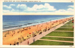 Virginia Virginia Beach Ocean Front and Ocean Promenade