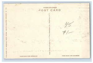 1910 Hand Colored Sulphur Springs W.Va Postcard P30E
