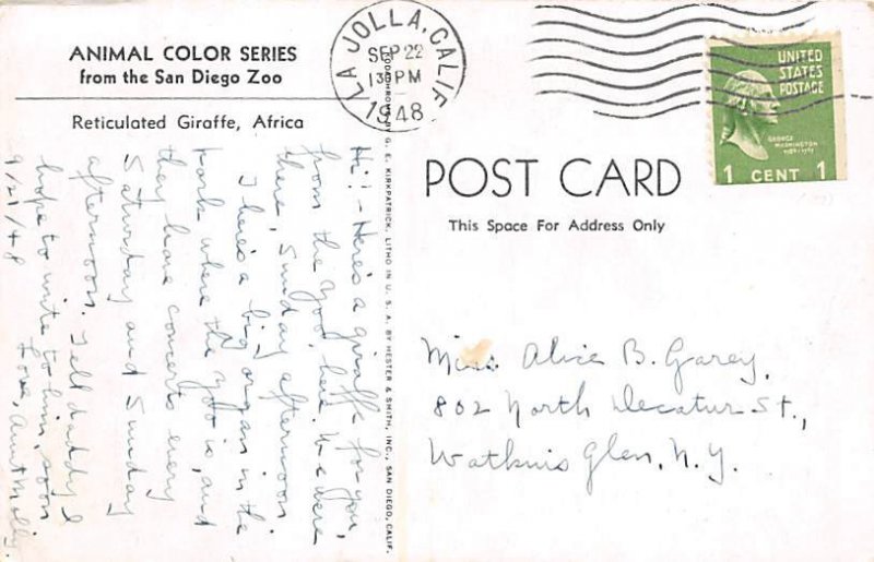 Reticulated Giraffe, Africa San Diego, California, USA 1948 postal marking on...