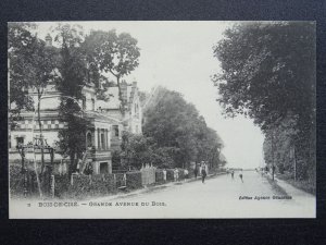 France Somme BOIS DE CISE Grande Avenue du bois c1903 Postcard