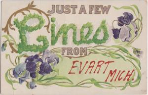 1910 EVART Michigan Mi Postcard Just a few Lines from....