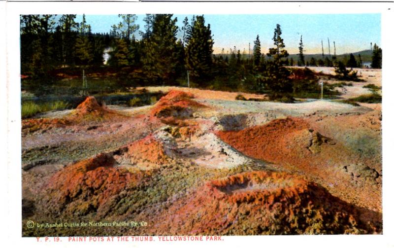 BLOOM, YP19, Paint Pots at the Thumb, Yellowstone National Park