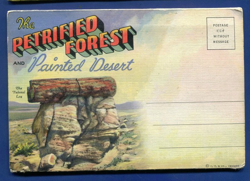 Petrified Forest Painted Desert Arizona Postcard Folder PF677